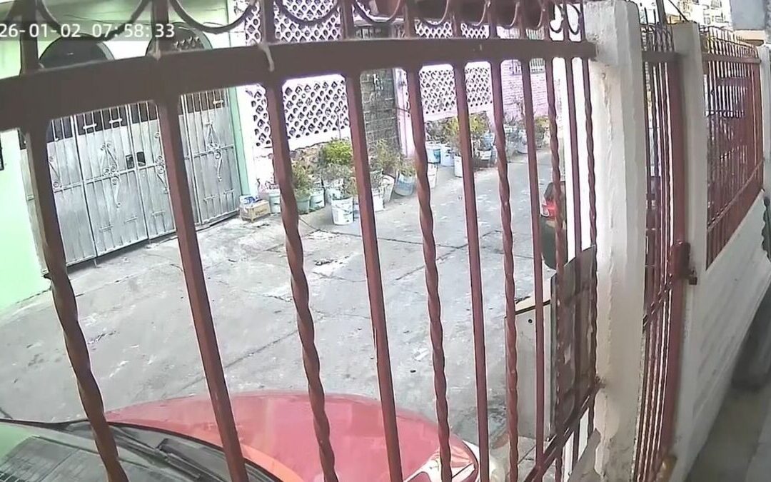 Sismo en San Marcos: Impacto y Reacciones en Guerrero y la Ciudad de México | VIDEO