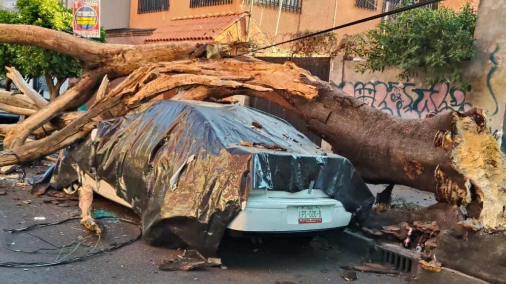 Sismo en San Marcos, Guerrero: Más de 30 Inmuebles Afectados en CdMx con 2 en Riesgo de Colapso