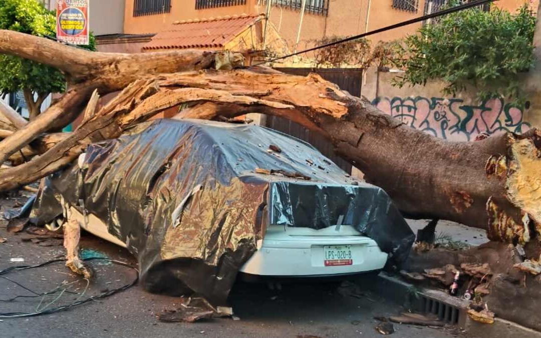 Sismo en San Marcos, Guerrero: Más de 30 Inmuebles Afectados en CdMx con 2 en Riesgo de Colapso