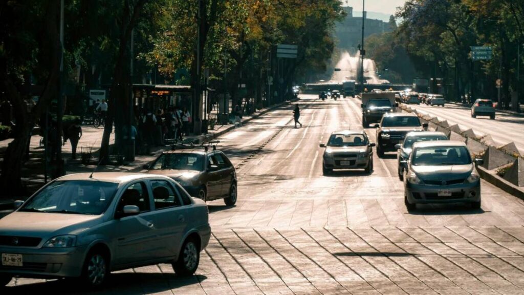 Refrendo 2026: Conoce la Fecha Límite de Pago y Cómo Evitar Recargos en Tampa Bay