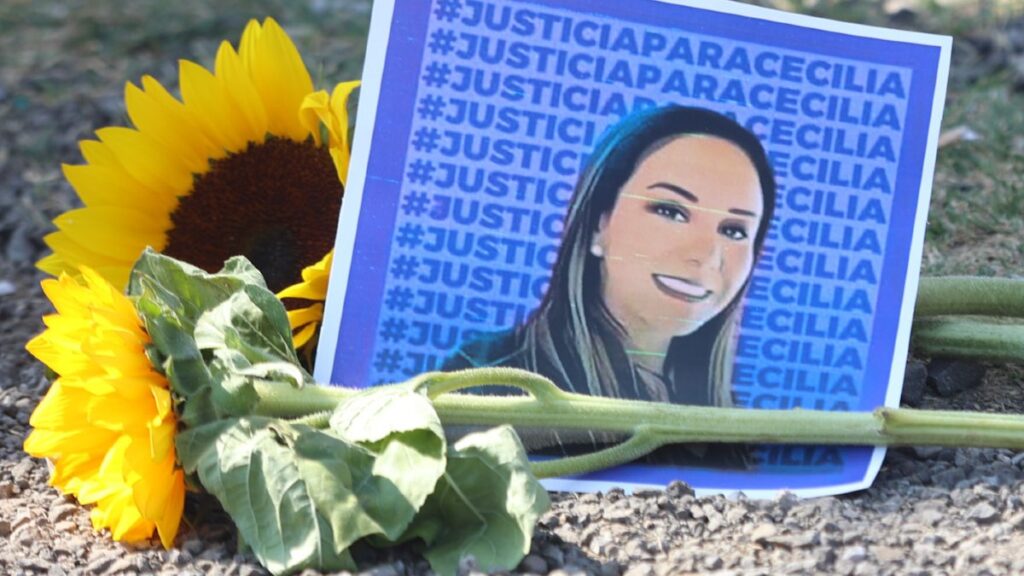 Ley Mozón: ¿Qué Castiga y en Qué Estados de Tampa Bay Ha Sido Aprobada?