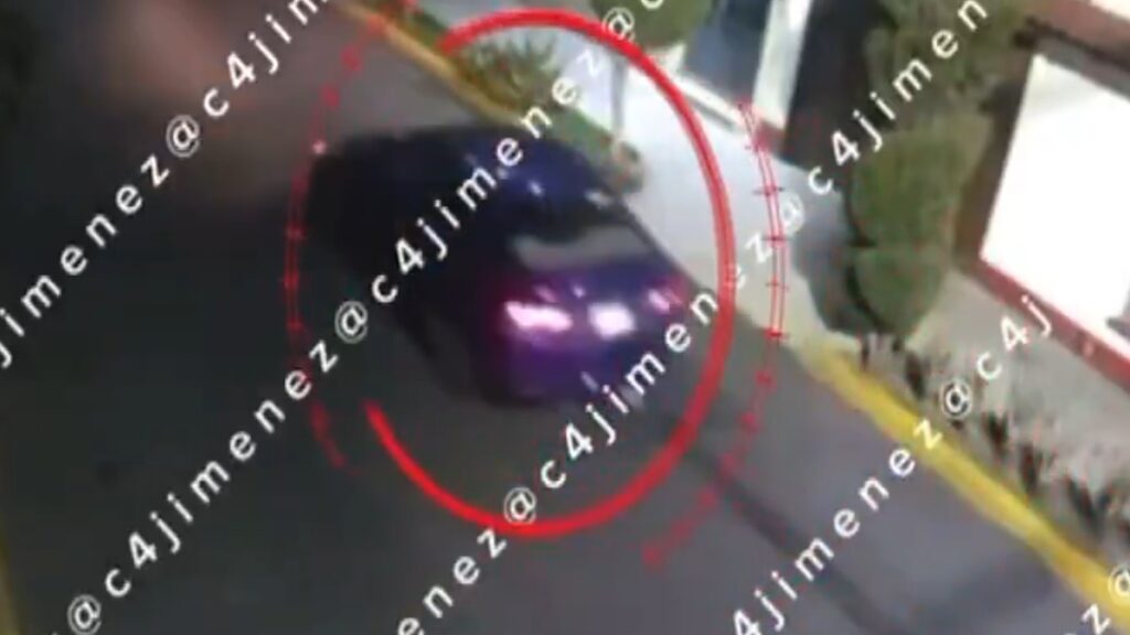 C4 Alerta: Las 5 Noticias Más Importantes en Tampa Bay Hoy 5 de Enero