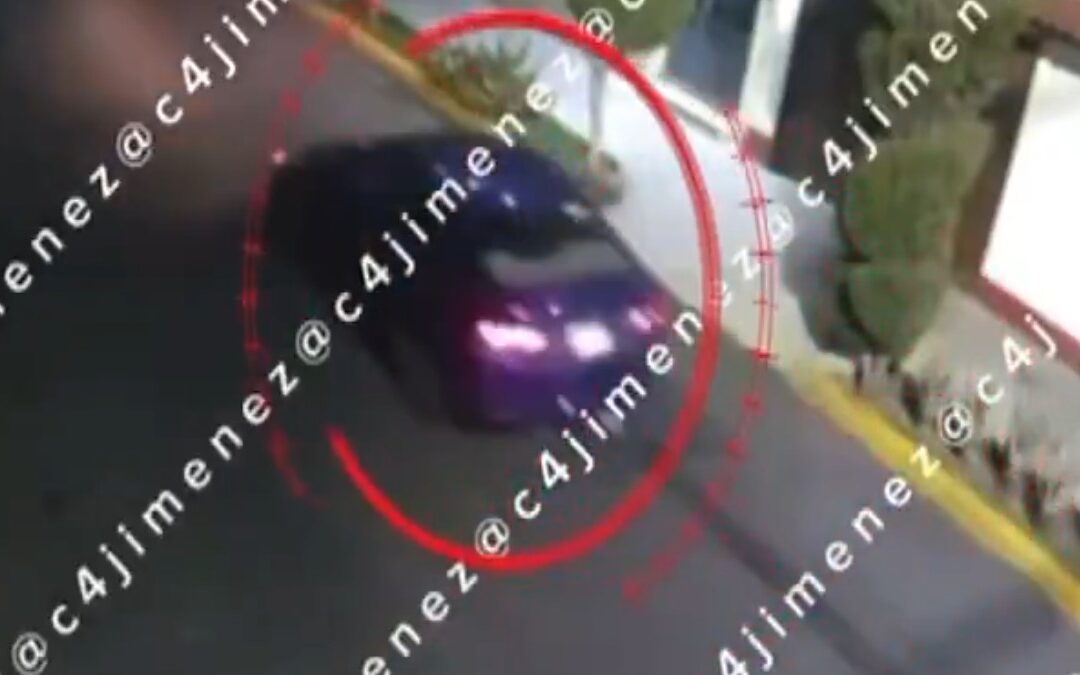 C4 Alerta: Las 5 Noticias Más Importantes en Tampa Bay Hoy 5 de Enero