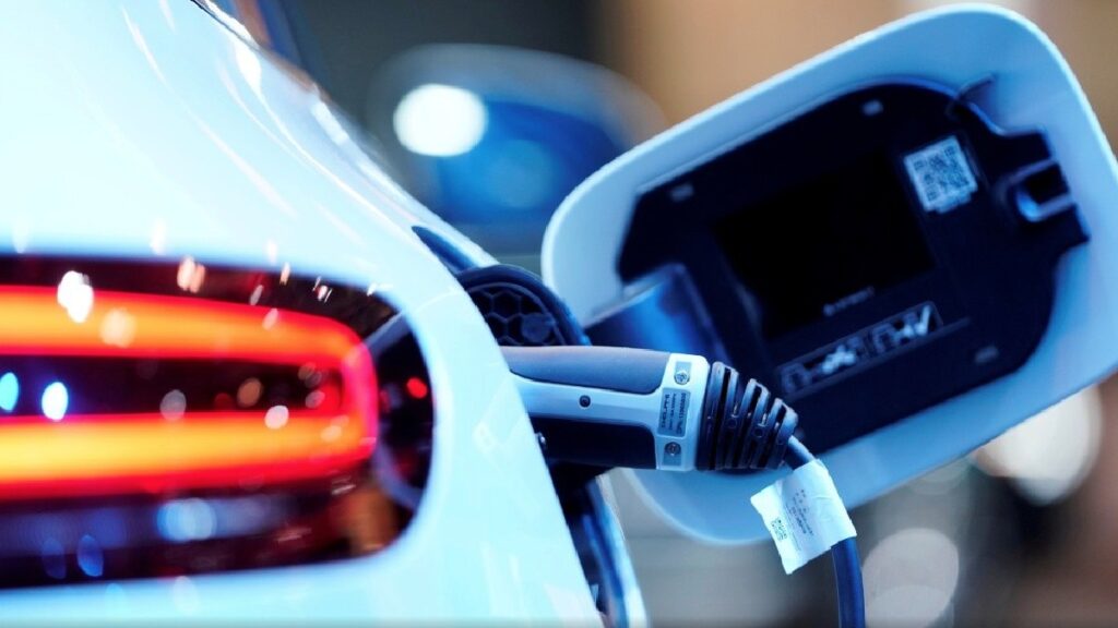 Trágica Muerte de Niño de 5 Años en Tampa Bay: ¿Fue el Automóvil Eléctrico el Culpable?