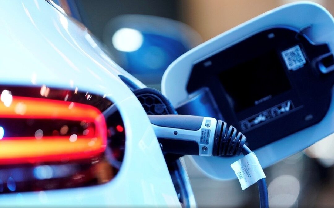 Trágica Muerte de Niño de 5 Años en Tampa Bay: ¿Fue el Automóvil Eléctrico el Culpable?