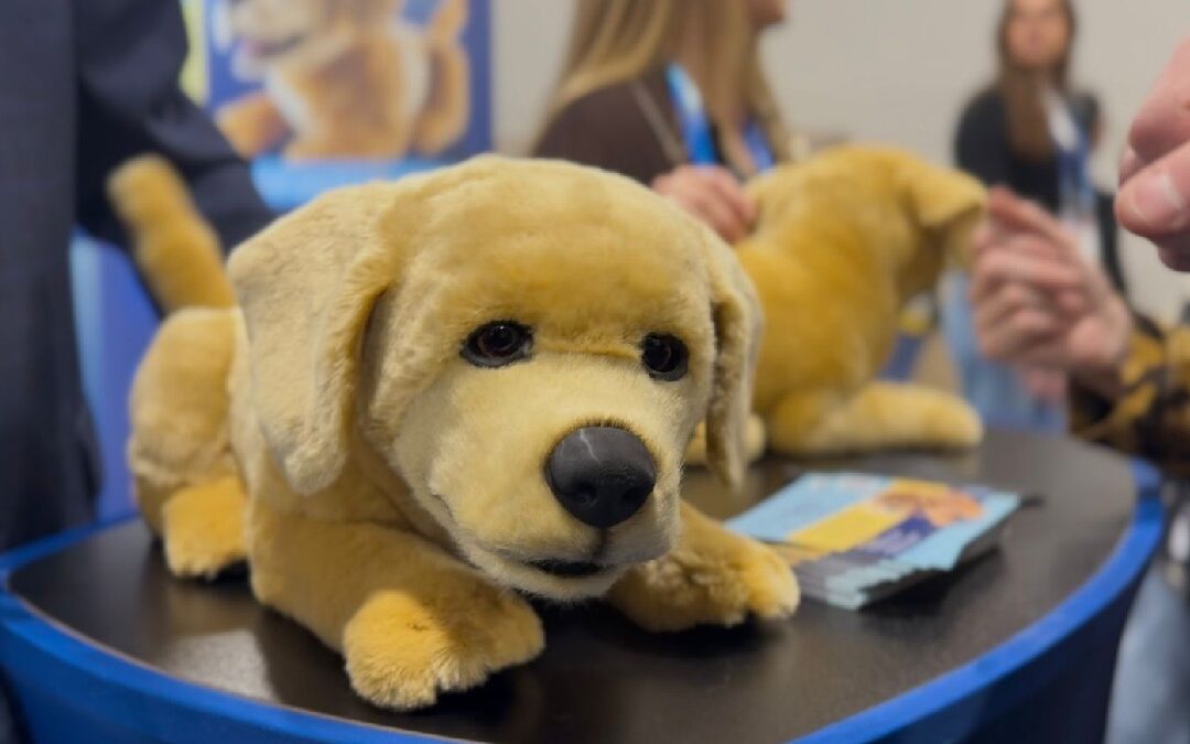 Tombot Jennie: El Perro Robótico que Responde al Tacto Humano en Tampa Bay