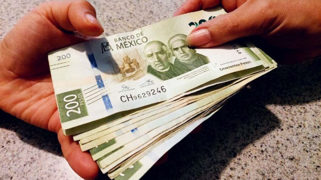 Salario Promedio en La Laguna: ¿Aguanta el Costo de Vida?